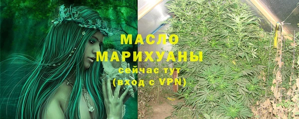 ПСИЛОЦИБИНОВЫЕ ГРИБЫ Дмитриев