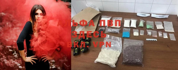 стафф Дмитровск