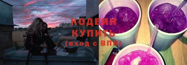 ПСИЛОЦИБИНОВЫЕ ГРИБЫ Дмитриев