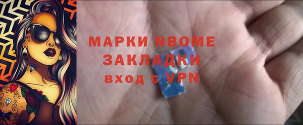 ПСИЛОЦИБИНОВЫЕ ГРИБЫ Дмитриев