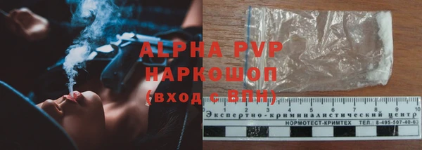 ПСИЛОЦИБИНОВЫЕ ГРИБЫ Дмитриев