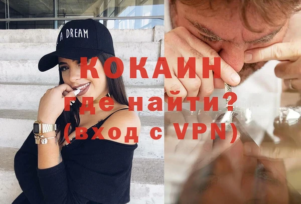 ПСИЛОЦИБИНОВЫЕ ГРИБЫ Дмитриев