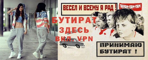 ПСИЛОЦИБИНОВЫЕ ГРИБЫ Дмитриев