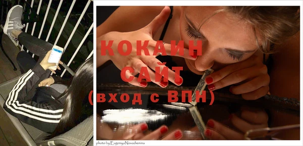 стафф Дмитровск