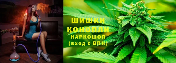 стафф Дмитровск