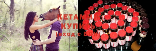 стафф Дмитровск