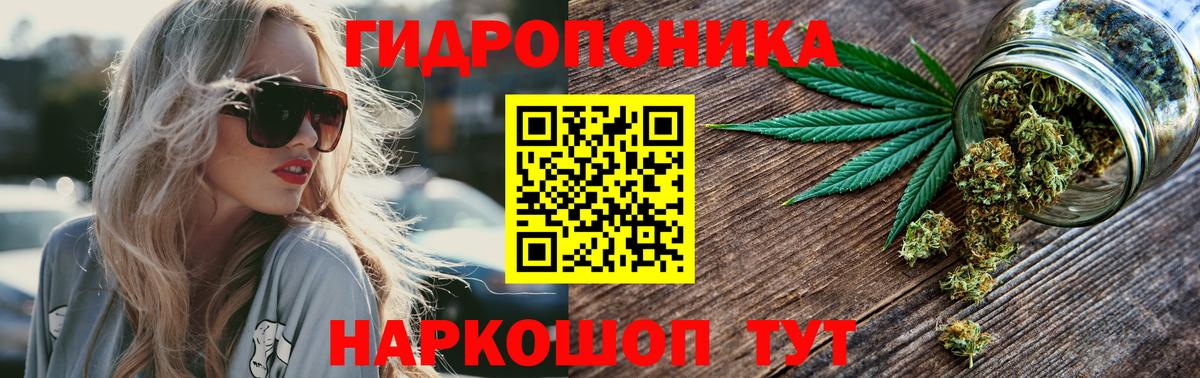 Конопля тримм  Вход с VPN  МАРИХУАНА план  МАРИХУАНА SATIVA & INDICA  Сертолово 